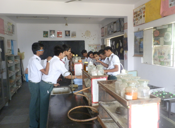 gallery